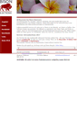 Mobile Screenshot of bison.ch